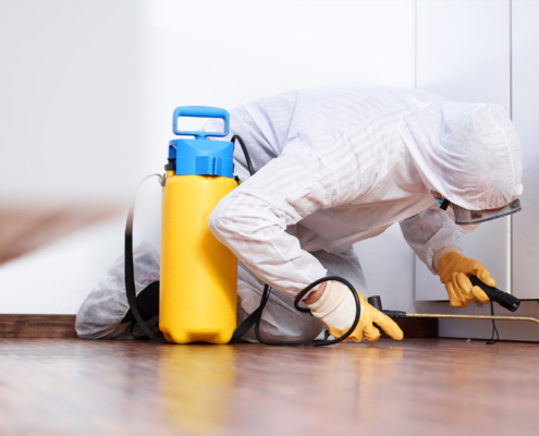 A Step-by-Step Guide to the Mold Remediation Process