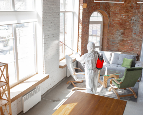 Mold Prevention and Signs to Look For in Your Building