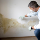 Man with mouth nose mask and blue shirt and gloves in front of white wall with mold