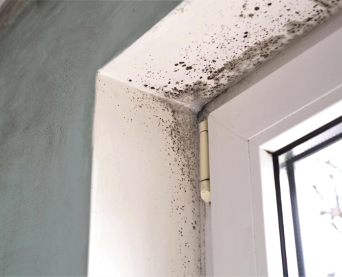 Side view of a side of a windowsill that is covered with mold