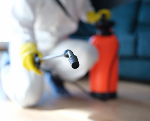 A Property Owner’s Guide to Commercial Mold Remediation