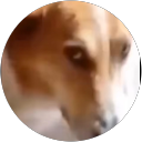 Rohan Barua profile picture